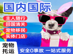 西昌青山机场托运国际宠物托运 【国